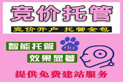 行业内的SEM竞价策略与效果对比案例